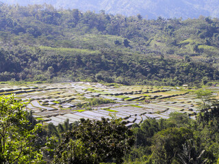Travel in Indonesia