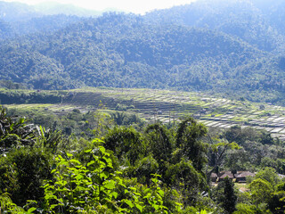 Fototapeta premium Travel in Indonesia