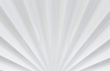 3d rendering. Abstract modern White folding paper fan art wall background.