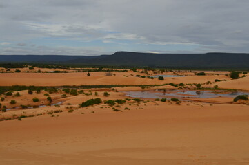 Dunas do Jalapão (Tocantins - Brazil)