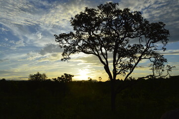 Sunset of Jalapão (Tocantins - Brasil)