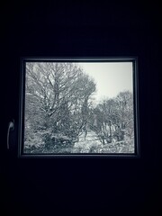 Fenêtre avec vue sur une forêt enneigée, hiver, France.