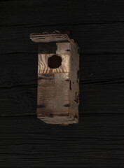 birdhouse on the black wall