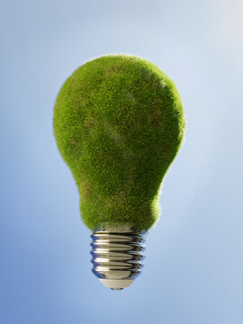 Green grass lightbulb