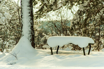 benches covered with snow in the city park