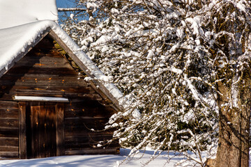 Piękna zima na Podlasiu, Polska © podlaski49
