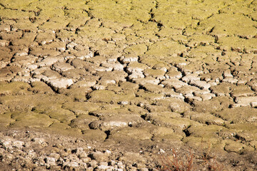 Lake dried because of the global warming, cracked background. 