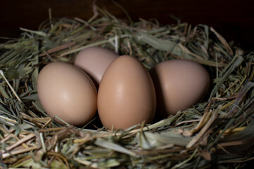 Easter basket with eggs. eggs in a straw nest
