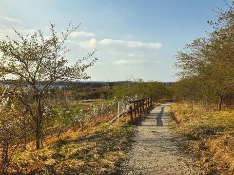Jaworzno bilder Bläddra bland 546 stockfoton, vektorer och videor