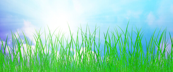 Obraz premium gras wiese natur sonne himmel banner
