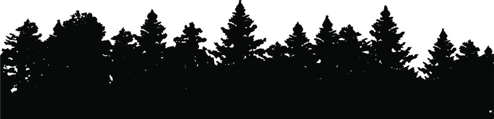 Forest silhouette, different trees. Graphic element, vector EPS10. Illustration, commercial use.