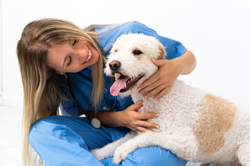 Young veterinarian woman with dog sitting on the floor