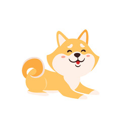 Vector illustration with cute shiba inu isolated on white
