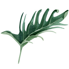 Jungle Tropical Philodendron Leaf. Template for decorating designs and illustrations.
