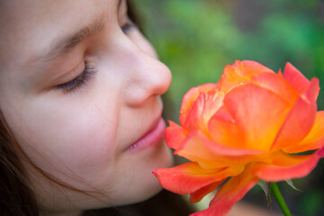 Fototapeta premium Girl and a large red rose close-up. The concept of tenderness and beauty.