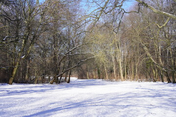 Sonnige weiße Winterlandschaft im Treptower Park in Berlin bei Sonnenschein und blauem Himmel