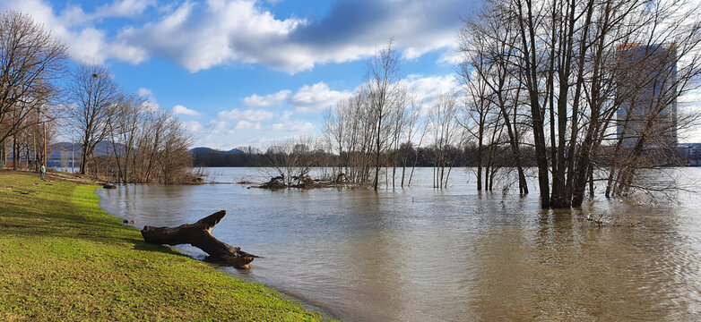 Bonn Germany February 2021 the Rhine at high water in beautiful weather with blue sky in the foreground a washed up tree trunk in the background the mountains and the skyline       
