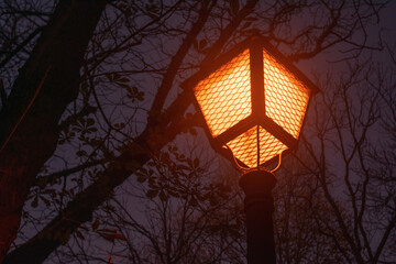 Night lamps in a park in Madrid