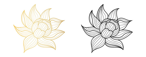 Lotus icon line style. Lotus black and gold isolated on white background, vector illustration