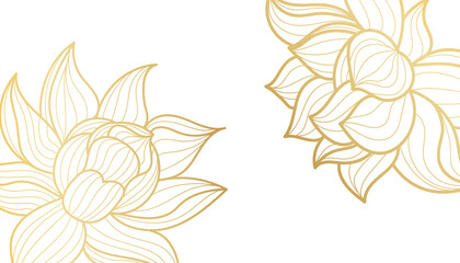 Goldener Lotus, Linie Kunsthintergrund auf weißem Hintergrund. Design für Tapeten, Poster, Cover. Vektor-Illustration. © dariachekman