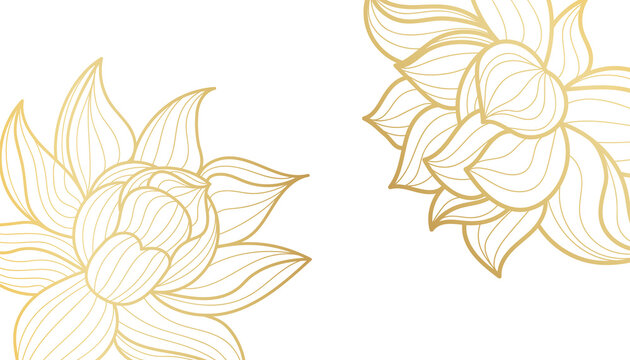 Lotus Background Images – Browse 354,854 Stock Photos, Vectors, and Video | Adobe Stock Lotus Background Images – Browse 354,854 Stock Photos, Vectors, and Video | Adobe Stock