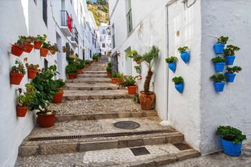 Traditional flowerpots in the street of white village in Andalusia. Pueblos blancos in Spain. Beautiful touristic landmark.