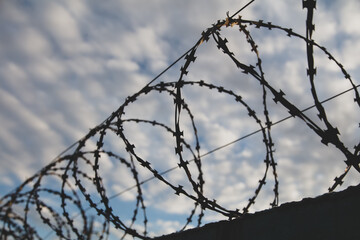 Barbed wire on the fence in the early morning. Background