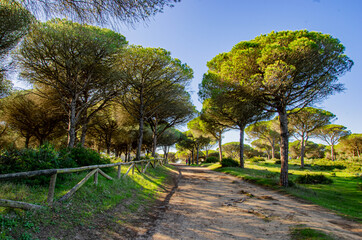 Amazing walkway in Andalusia, Spain. Sendero Las Brenas. Barbate.