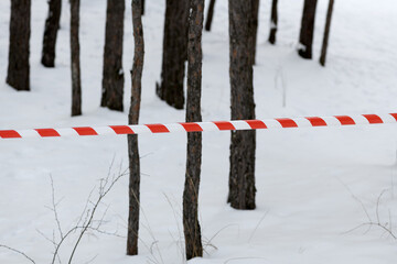 Red and white security tape on trees in the winter forest. Deforestation. Fenced off crime scene...