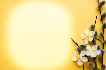Easter poster. Flowers, branches of a palm tree on a yellow background. Place for text