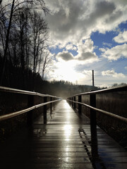Wooden boardwalk at the nature park. Outdoor walk after the rain.