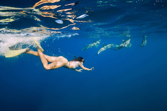 Young woman snorkeling with dolphins in blue ocean.