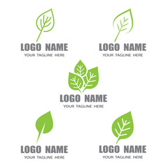 Mint leaves flat vector color icon template