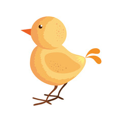 cute little chick animal character vector illustration design