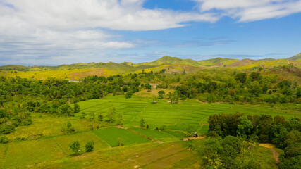 Fototapeta na wymiar Hills and mountains covered with green grass against a background of blue sky and clouds. Bohol, Philippines. Summer landscape.