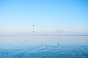 Fototapeta na wymiar Bright beautiful seascape with ship and seagulls