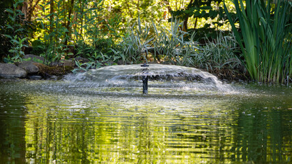 Obraz na płótnie Canvas Beautiful garden pond with umbrella-shaped fountain against blurred background of evergreens. Close-up. Evergreen landscaped garden. Park design. Nature spring design concept. Place for text.