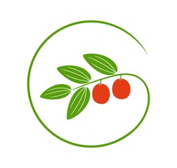 Jujube logo. Isolated jujube on white background