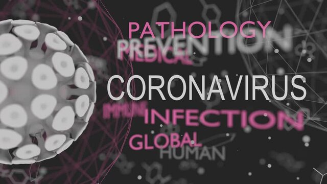 Coronavirus virus danger relative animation. Concept of medicine. Words collage. 3D rendering