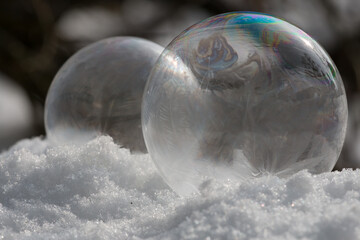 Frozen Soap Bubble on a cold winter morning