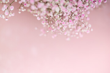 Nature of flower in garden using as cover page background natural flora wallpaper or template brochure landing page design