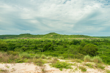 Lush caatinga forest in the rainy season (Oeiras, Piaui - Northeast Brazil)
