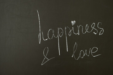 Fototapeta na wymiar handmade inscription on clackboard - happiness and love concept
