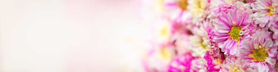 Nature of flower in garden using as cover page background natural flora wallpaper or template brochure landing page design