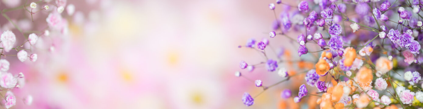Nature of flower in garden using as cover page background natural flora wallpaper or template brochure landing page design