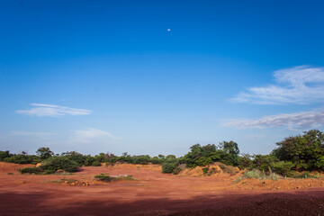 Fototapeta na wymiar Caatinga biome, sertao landscape and blue sky in Oeiras, Piaui (Northeast Brazil)
