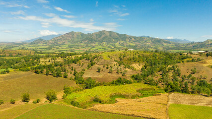 Fototapeta premium Aerial view of Agricultural landscape with farmland. Mountain landscape with green hills and farmland. Mindanao, Philippines.