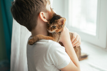 Little kid boy hugs his cat of red somali breed. Kids and animals friendship