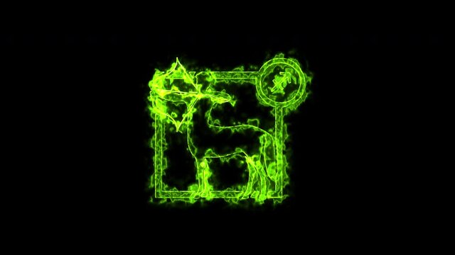 The Sagittarius zodiac symbol, horoscope sign lighting effect green neon glow. Royalty high-quality free stock of Sagittarius sign isolated on black background. Horoscope, astrology icons with simple