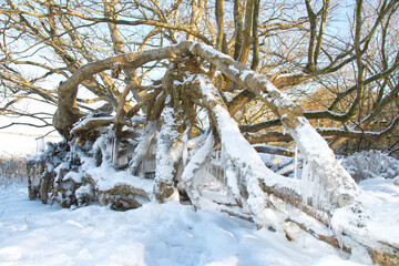 Winterzauber